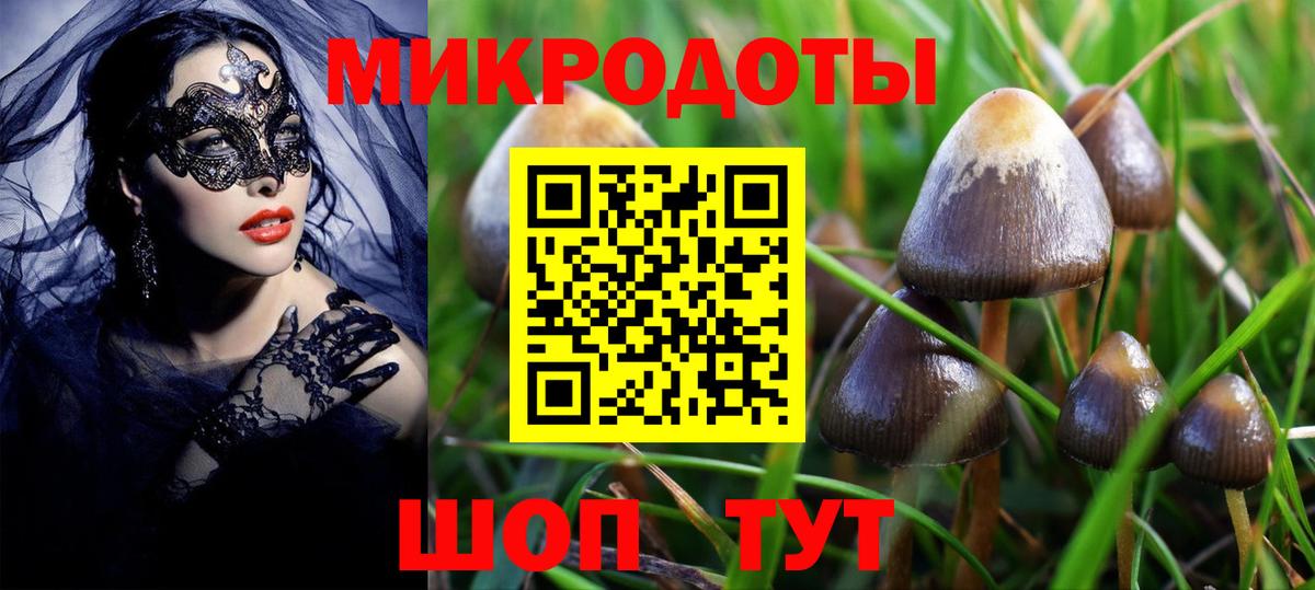 Псилоцибиновые грибы мицелий Горячий Ключ